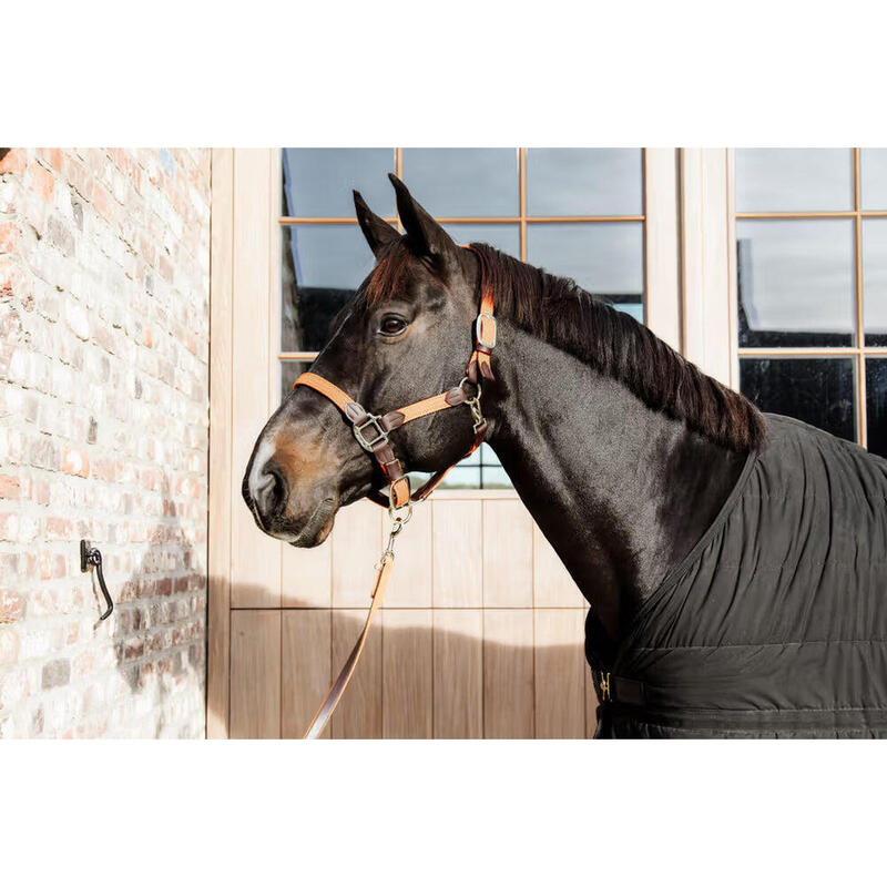 Kentucky Gevlochten Nylon Halster Blauw -