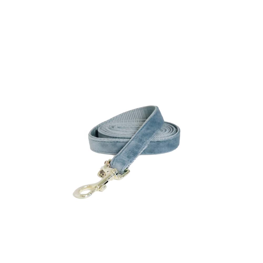 Dog leash Kentucky Velvet 2/7