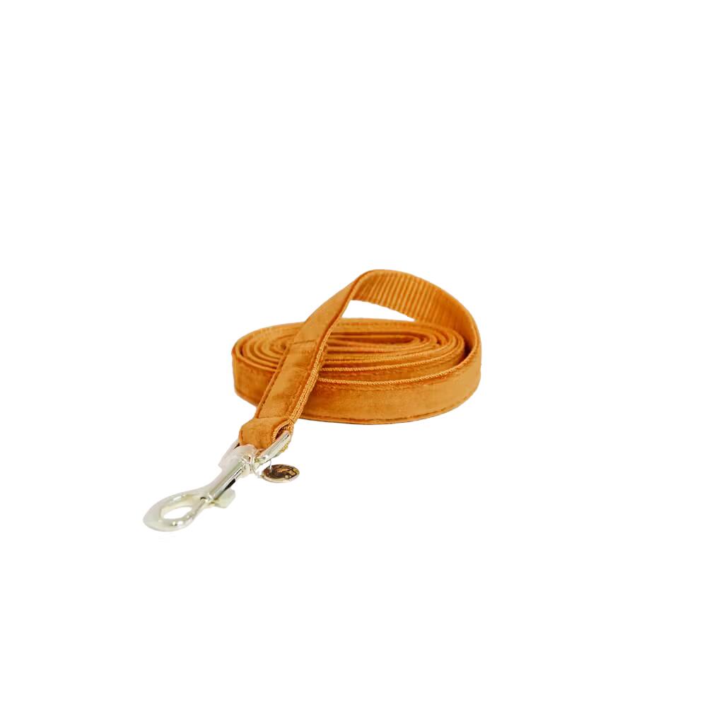 Dog leash Kentucky Velvet 120 cm 3/7