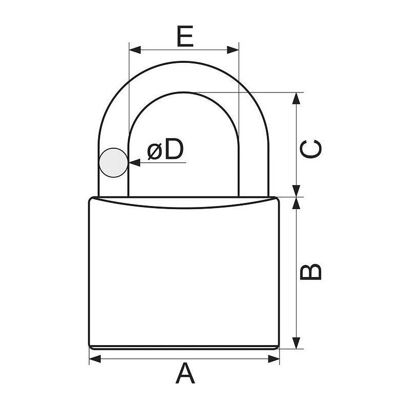 Confezione da 5 lucchetti marini SEALOCK - Bronzo rivestito in cromo 2/2