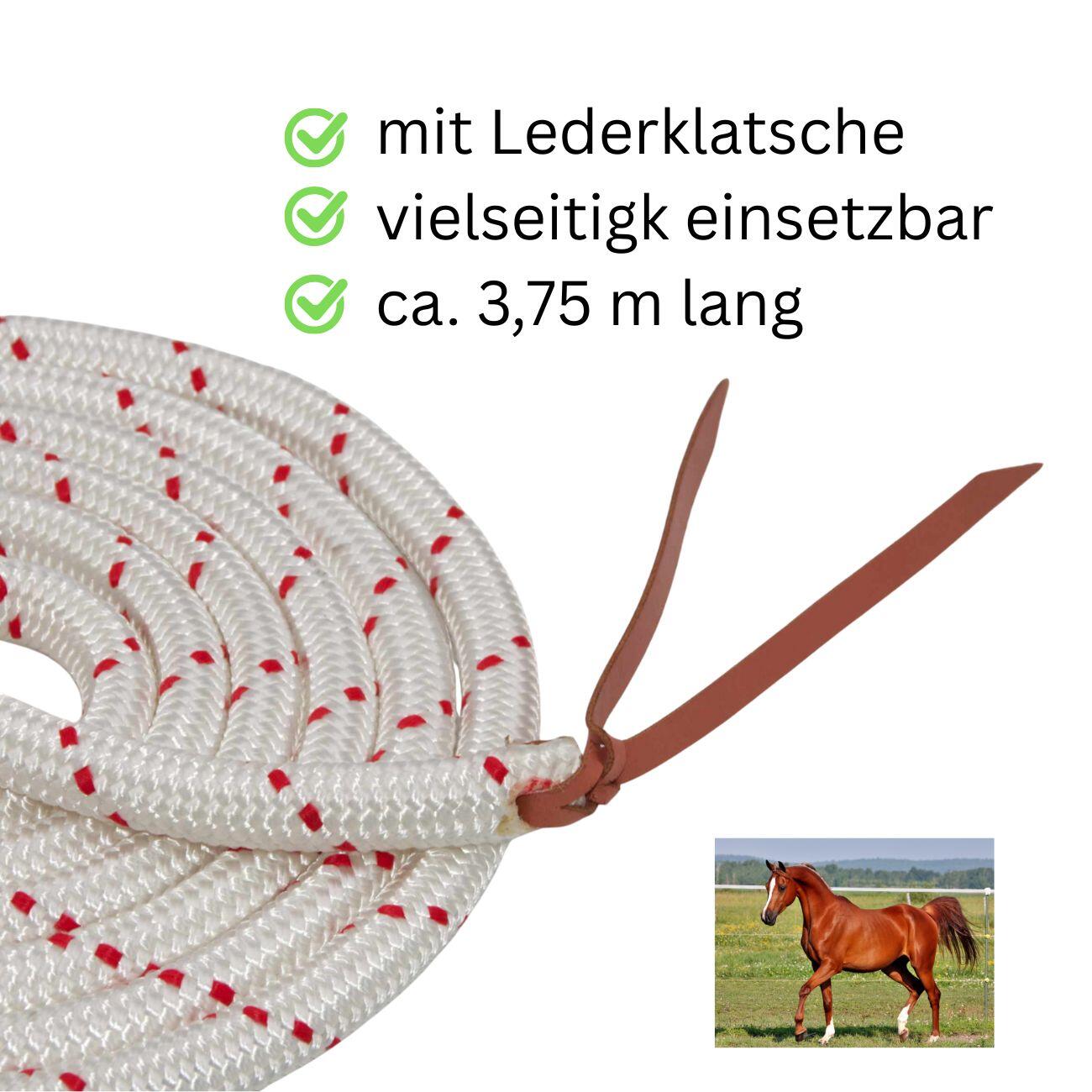 Harrys Horse Nylonhalfter 2/4