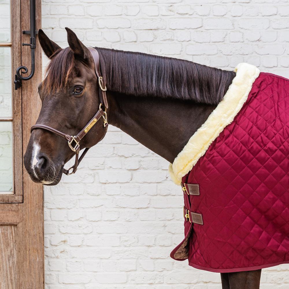 Manta de cuadra Kentucky Horsewear 160g 5/5