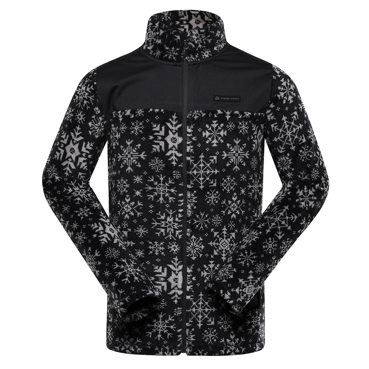 ALPINE PRO picture
