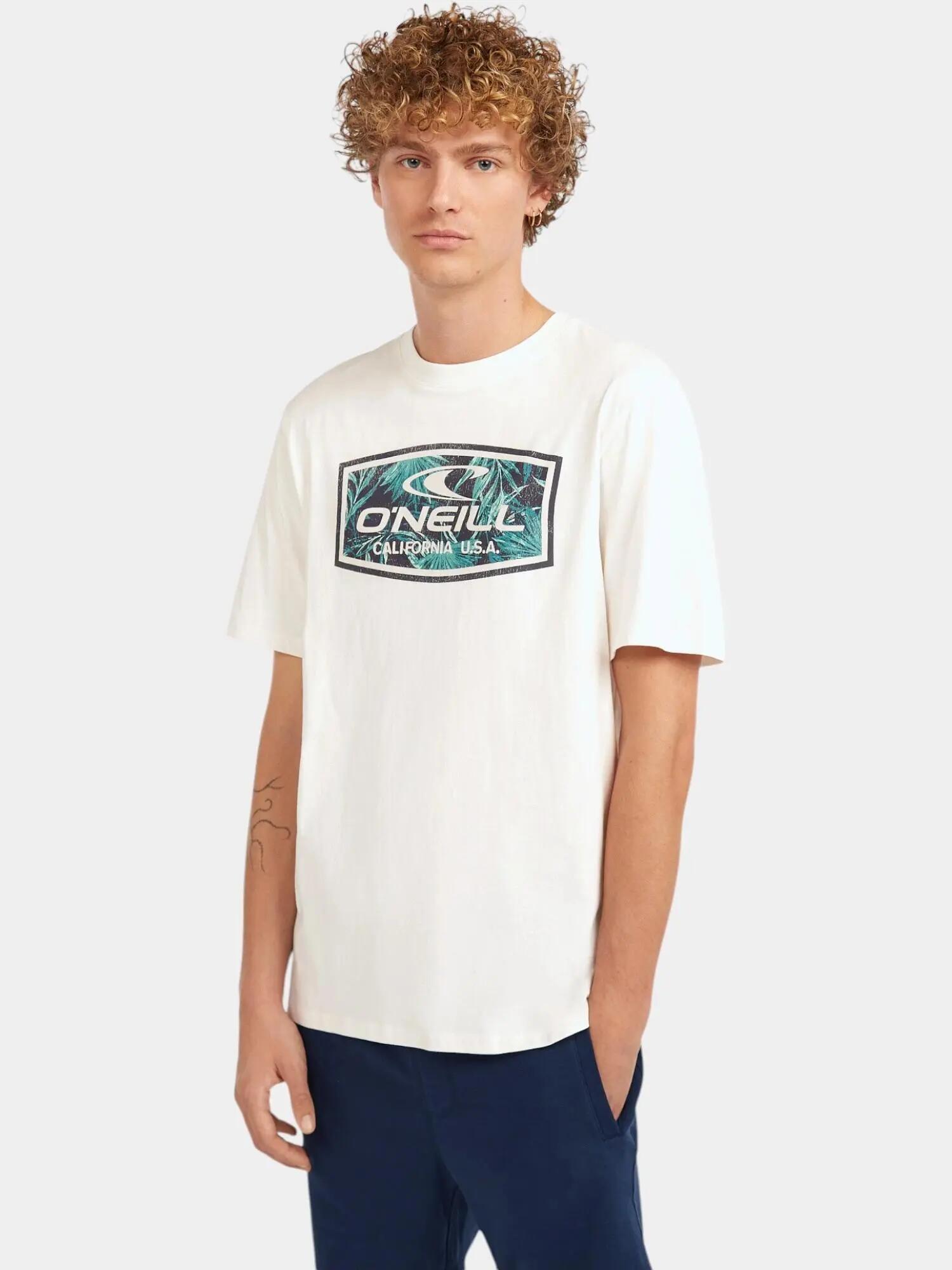 Férfi rövid ujjú póló O'Neill Graphic T-Shirt 1/7