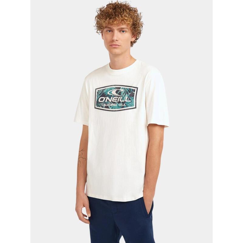 86e6841a-61a5-4d66-9832-040d49efd9f1_c4