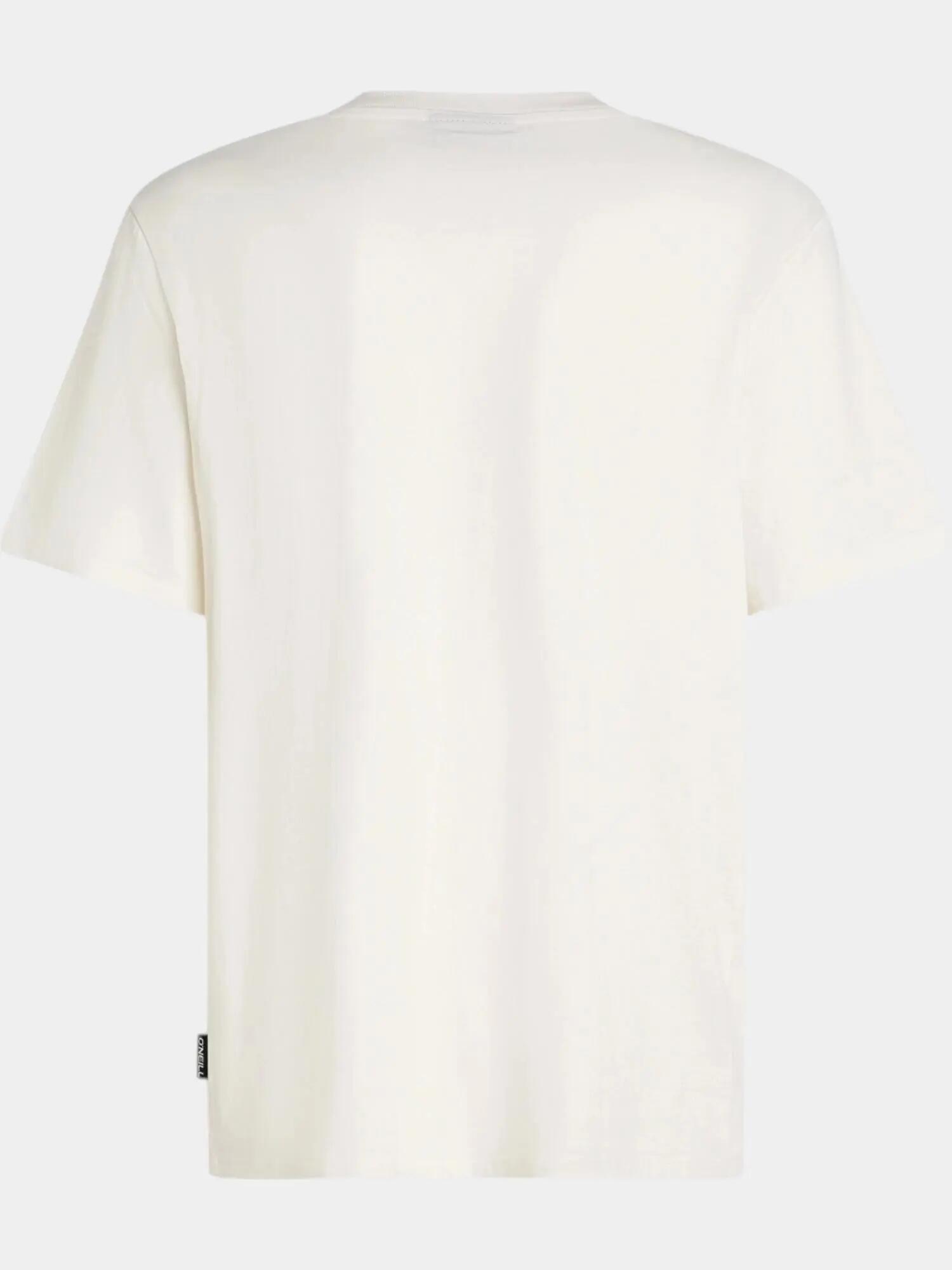 Férfi rövid ujjú póló O'Neill Graphic T-Shirt 6/7