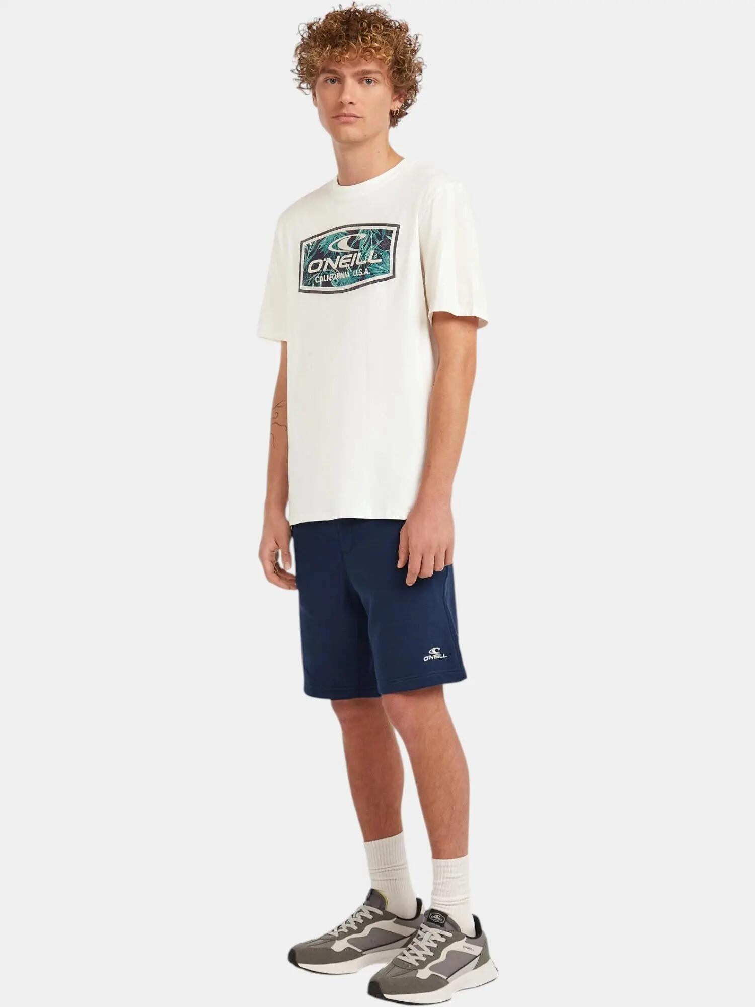 Férfi rövid ujjú póló O'Neill Graphic T-Shirt 3/7
