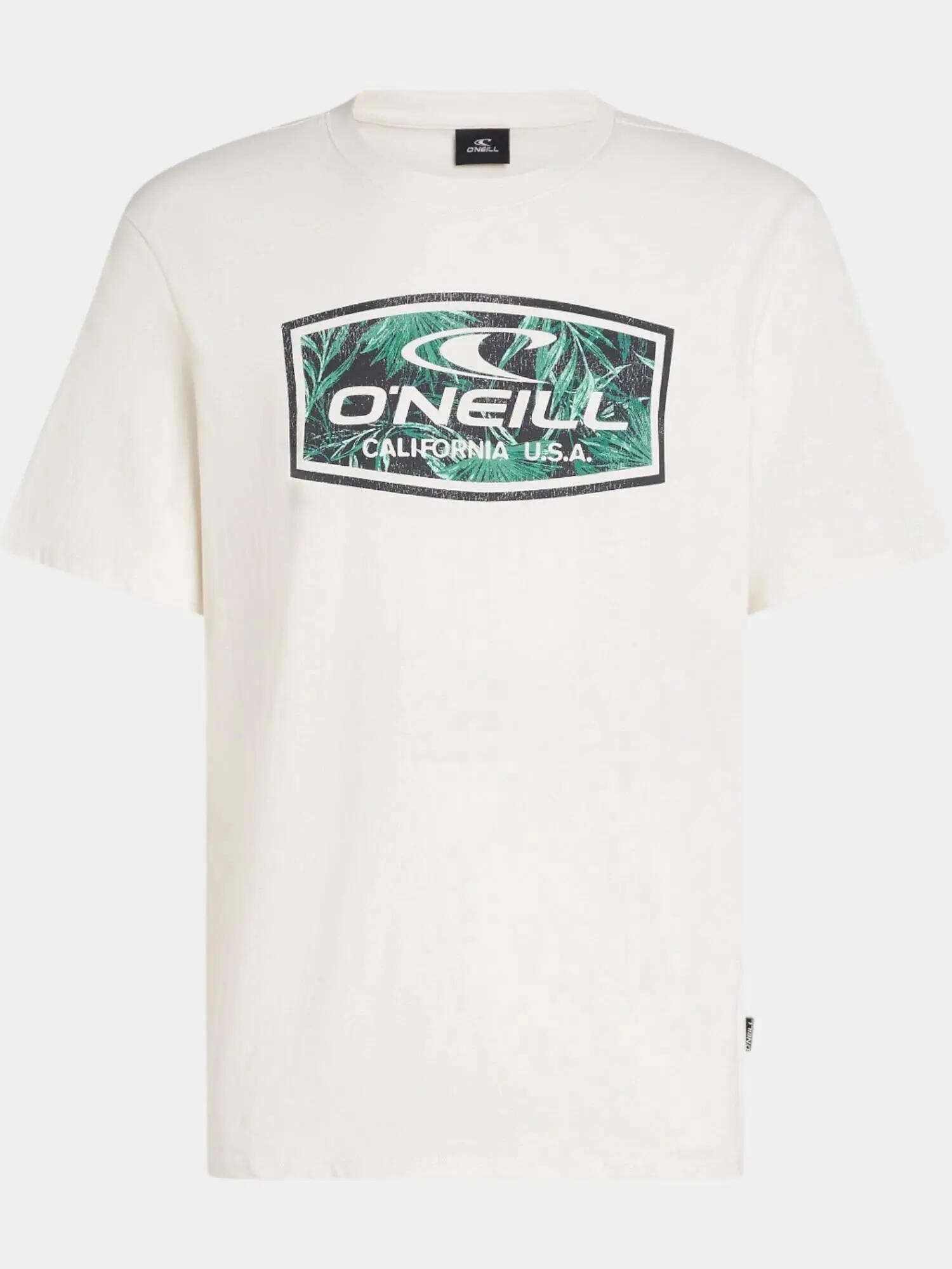 Férfi rövid ujjú póló O'Neill Graphic T-Shirt 5/7