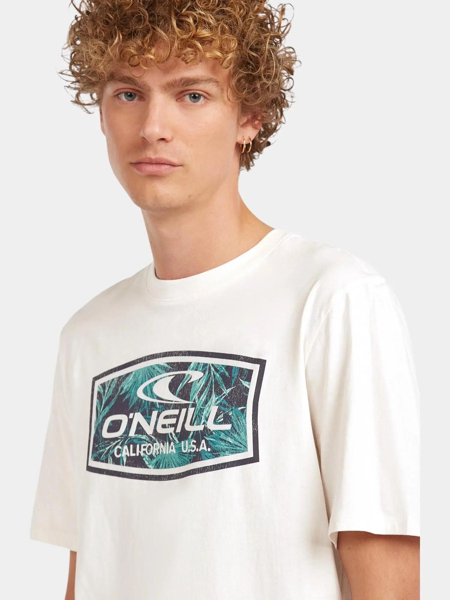 Férfi rövid ujjú póló O'Neill Graphic T-Shirt 4/7