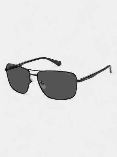 Lunettes De Soleil Polarisées Homme PLD 2119/G/S