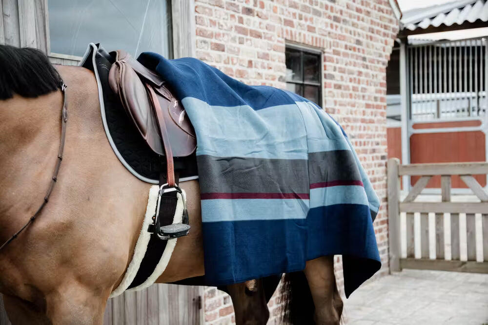 Sangle pour cheval mouton Kentucky 3/7