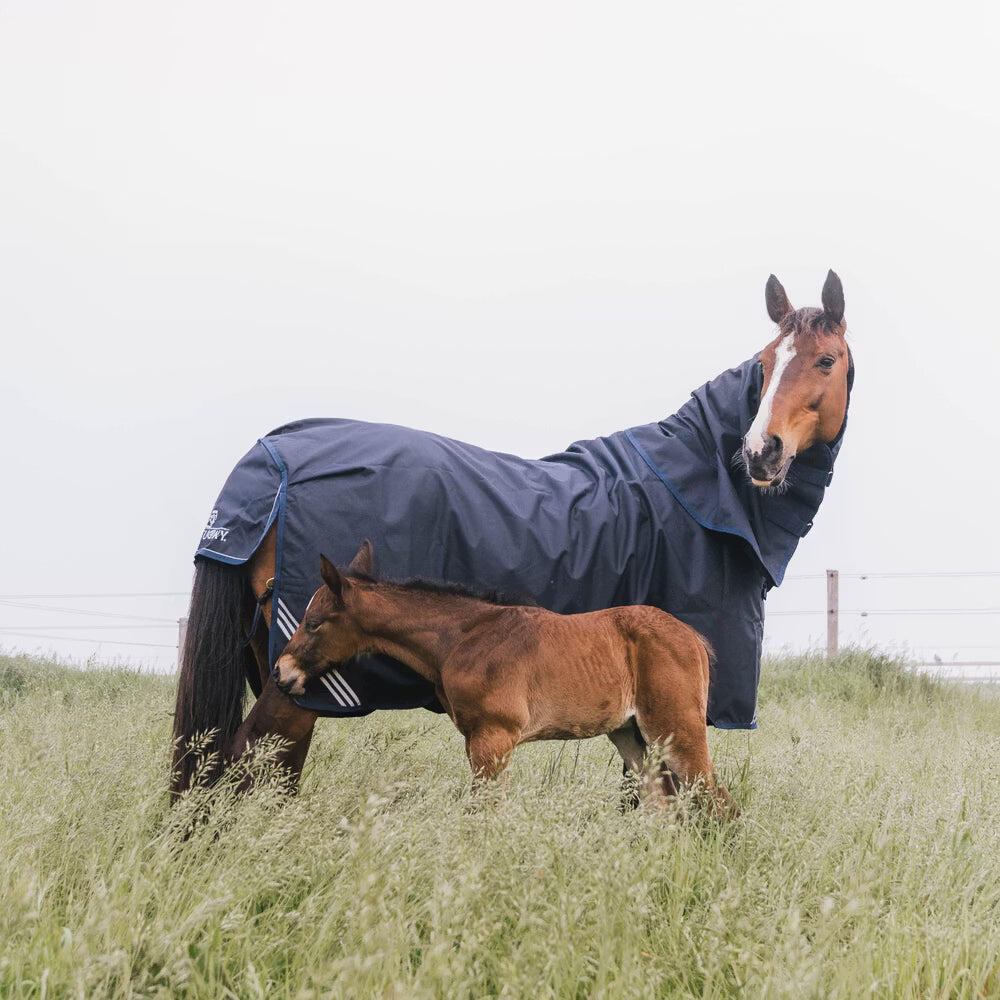 Manta impermeable y cómoda para todo tipo de clima para caballos Kentucky 200g 7/7