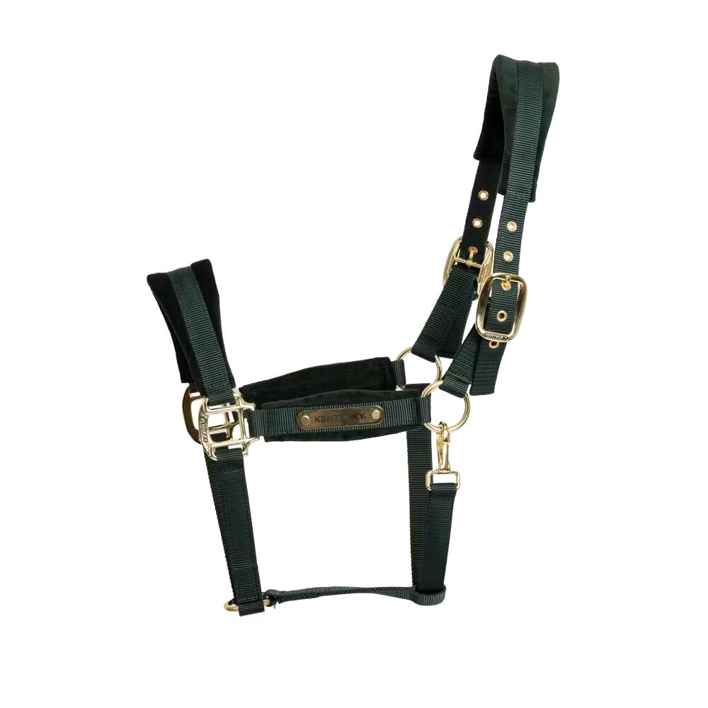 Licol velvet émeraude pony 3/7