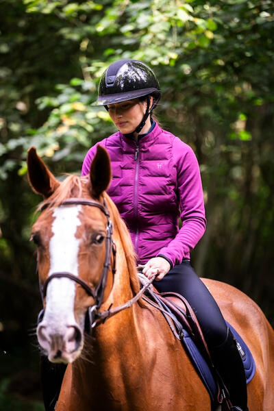 HORSE PILOT picture