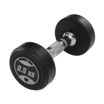 Haltères ronds de musculation 2,5 kg Fitness Tech – Lot de 2 unités