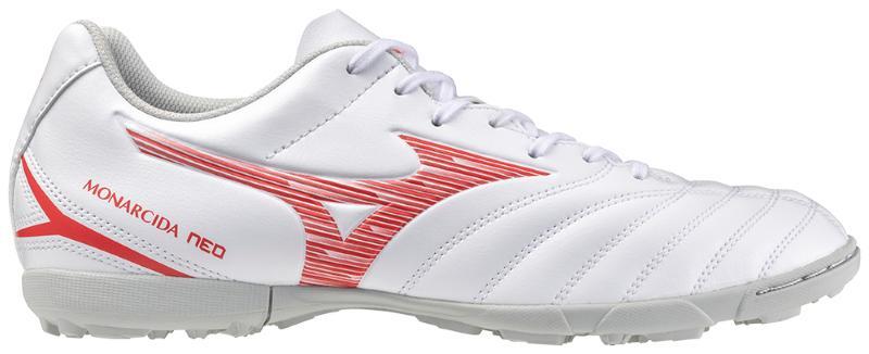 MIZUNO picture