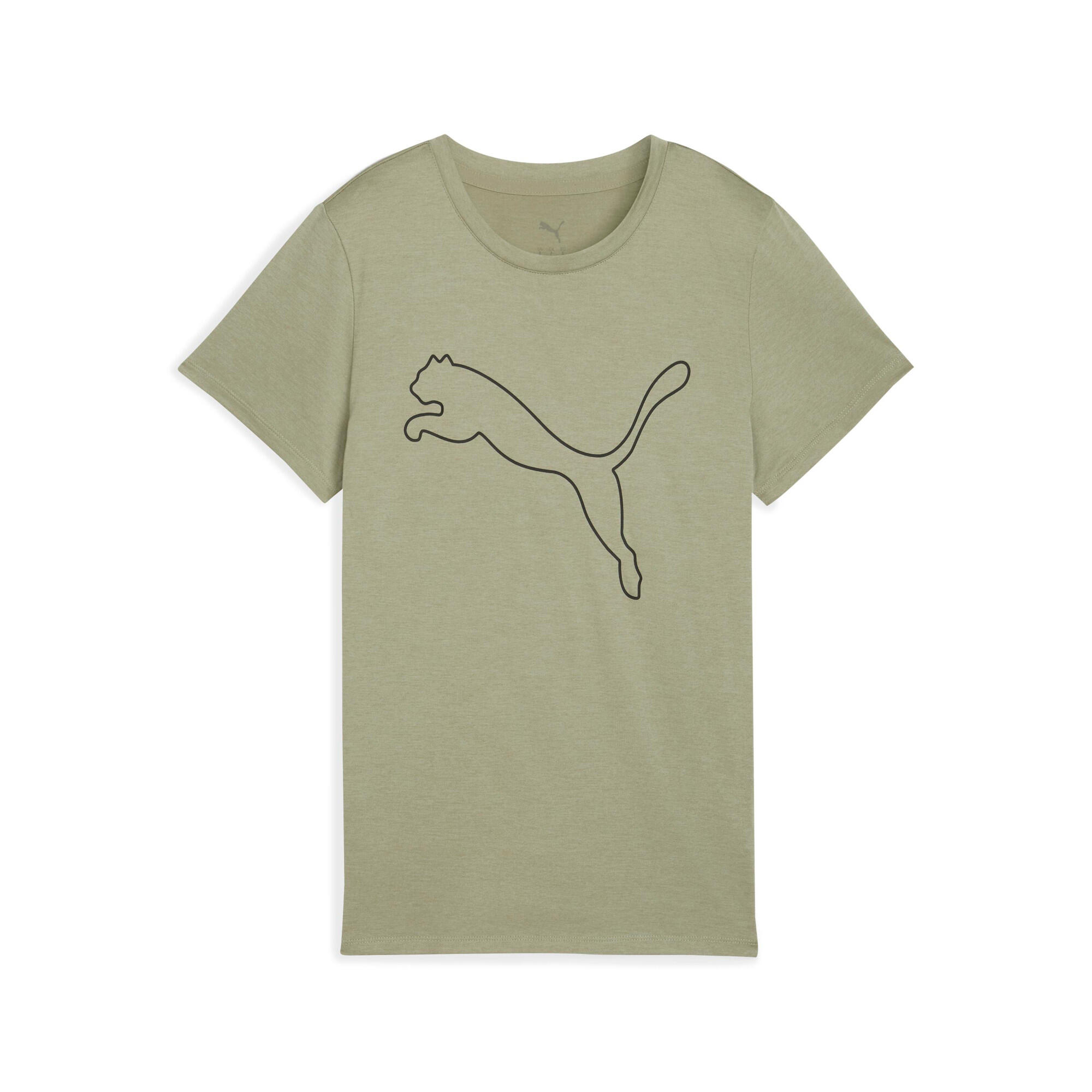 PUMA picture