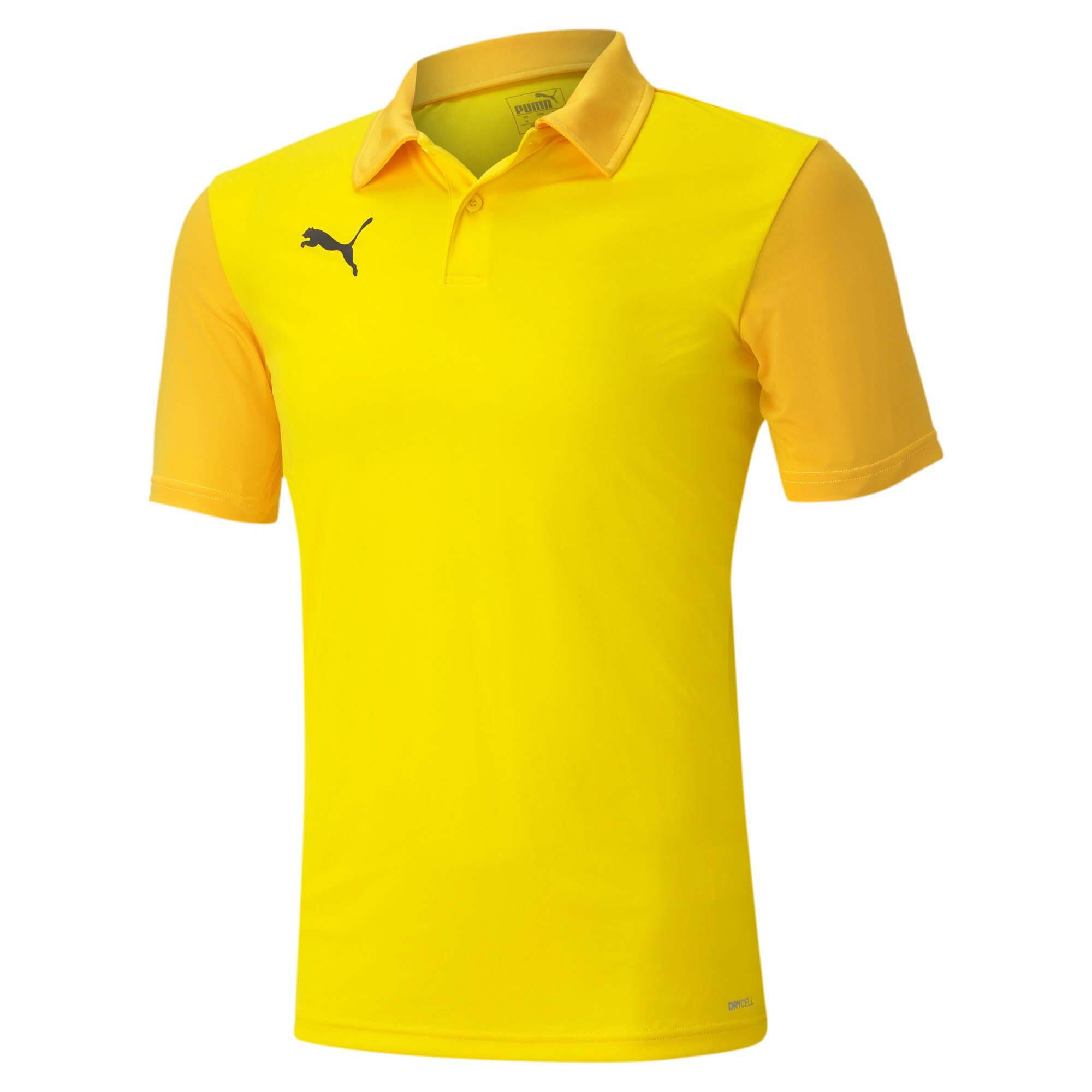 PUMA picture