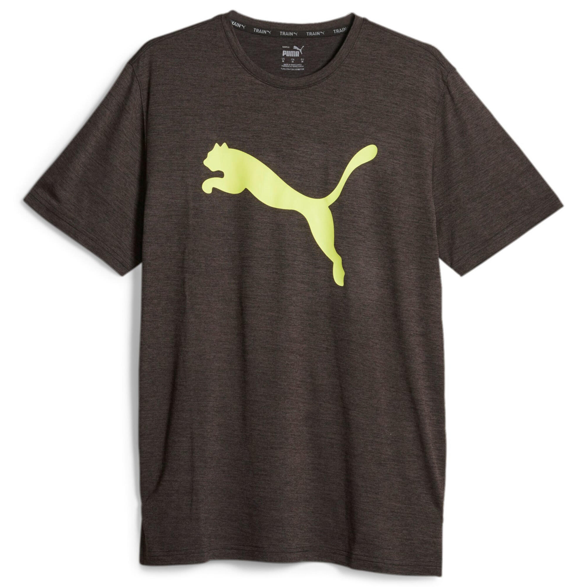 PUMA picture