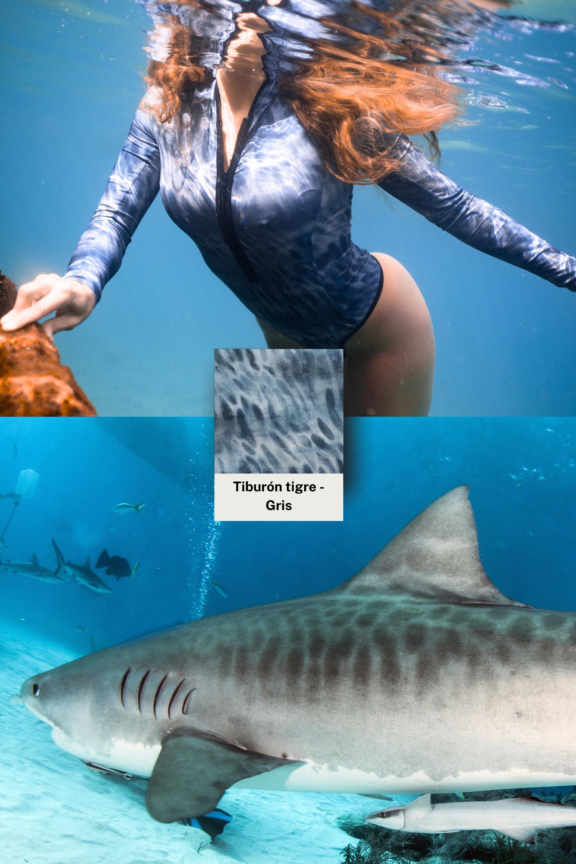 Bañador Surf Manga larga Tiburón Tigre - Tonos Grisáceos 4/5
