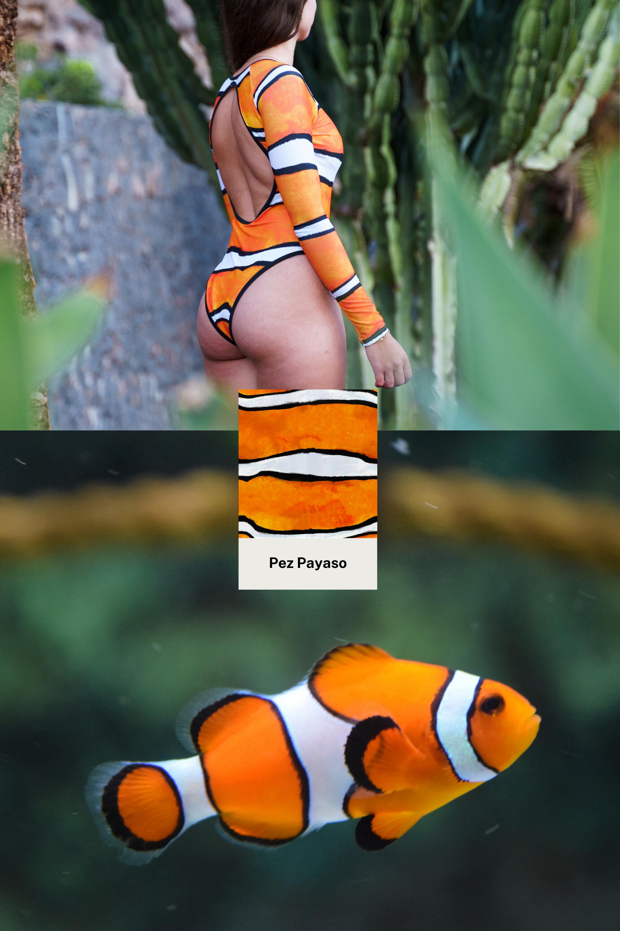 Bañador Surf manga larga - Pez Payaso (Espalda Abierta) 3/5