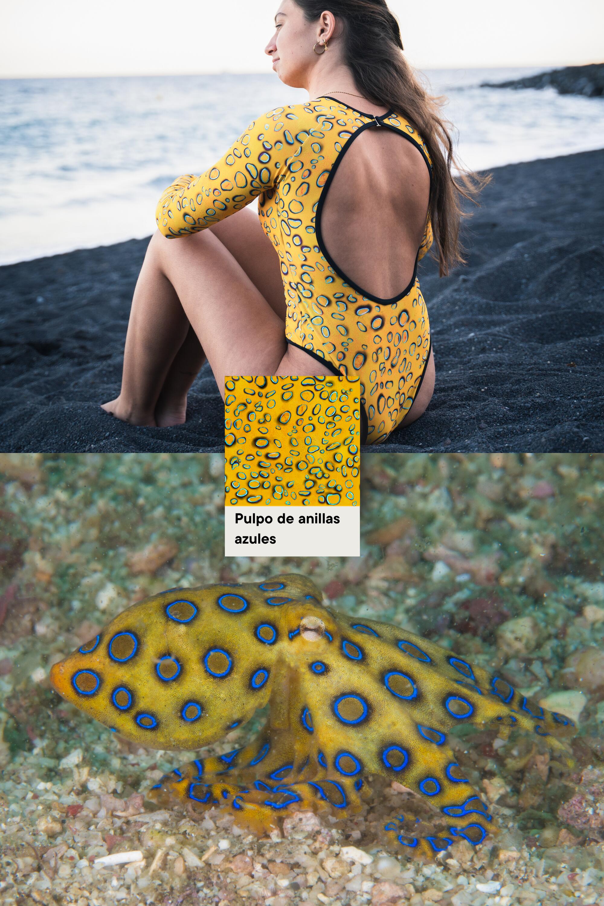 Bañador Surf Manga Larga - Pulpo Anillos Azules (Espalda Abierta) 3/5
