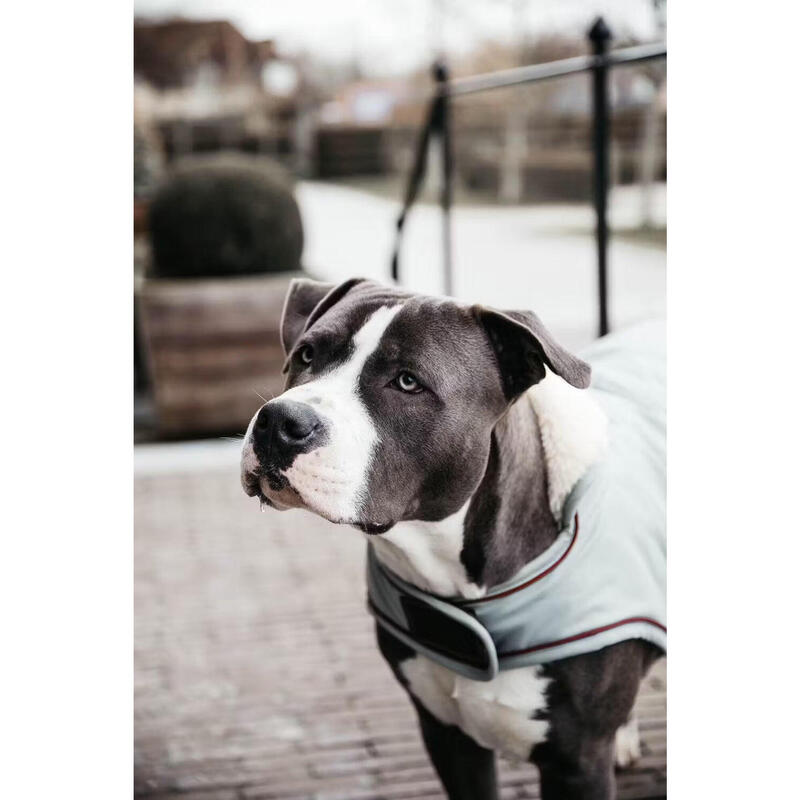 Kentucky Dog Coat Waterdicht 160gr Roze -