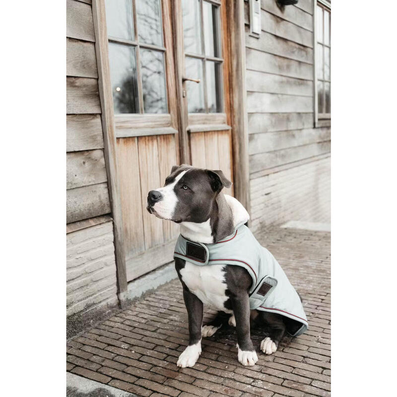Kentucky Dog Coat Waterdicht 160gr Roze -