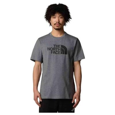 Camiseta para Hombre The north face Easy Gris