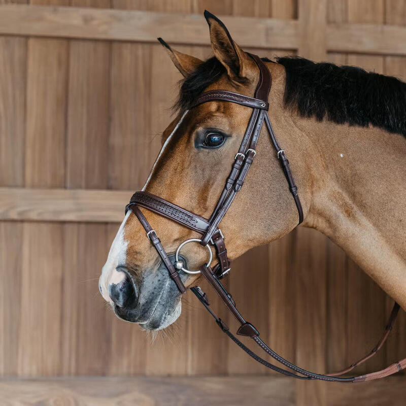 Dy'on Plaited Flash Noseband Hoofdstel With Pull Back Bruin -