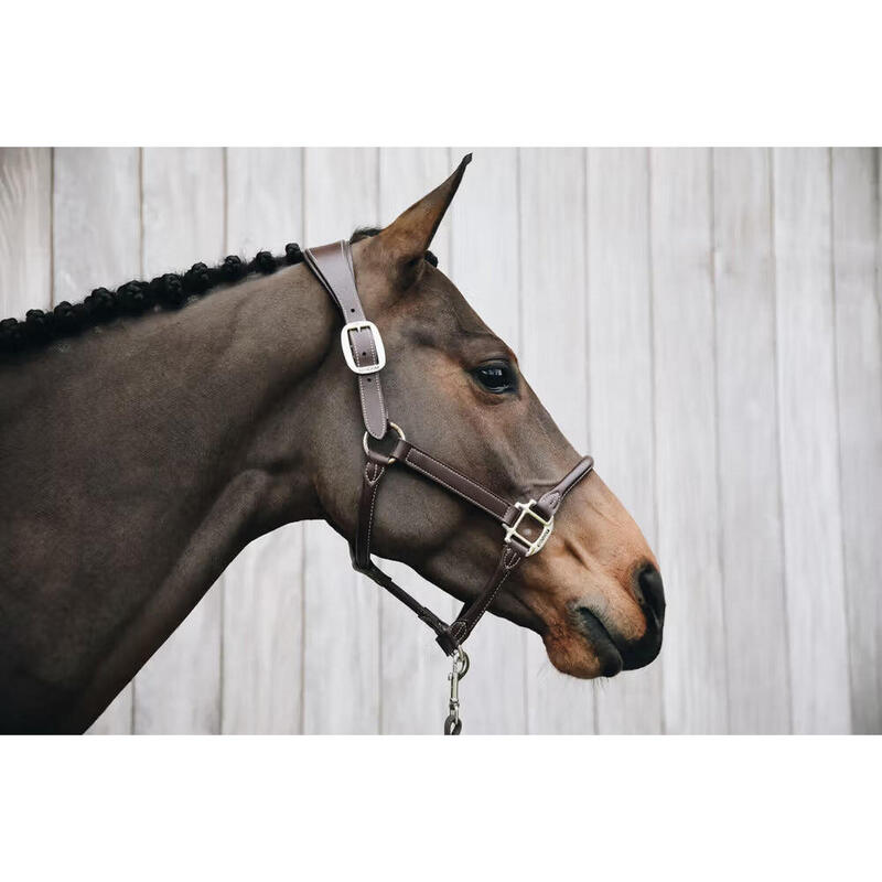 Kentucky Anatomische Leder Halster Zwart -