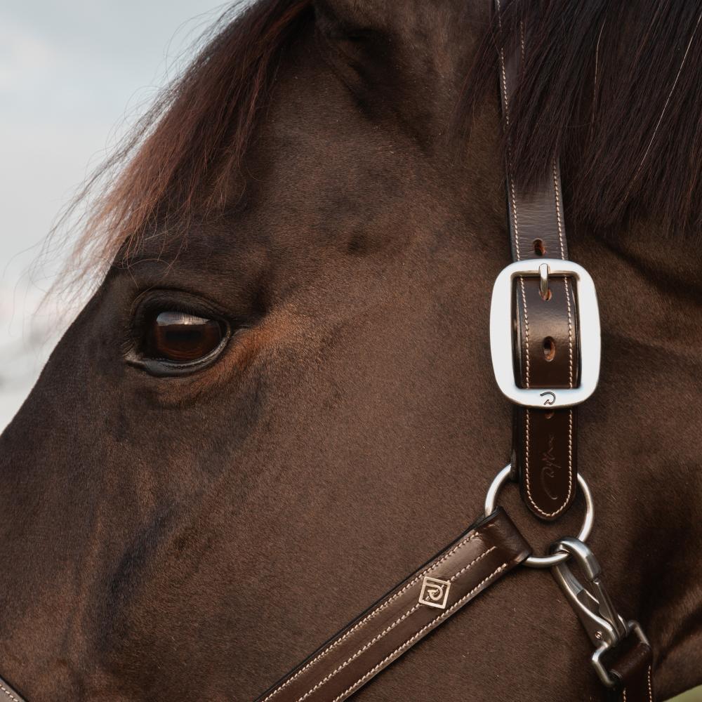 Briglia per cavallo con regolazioni Dy'on US 3/4