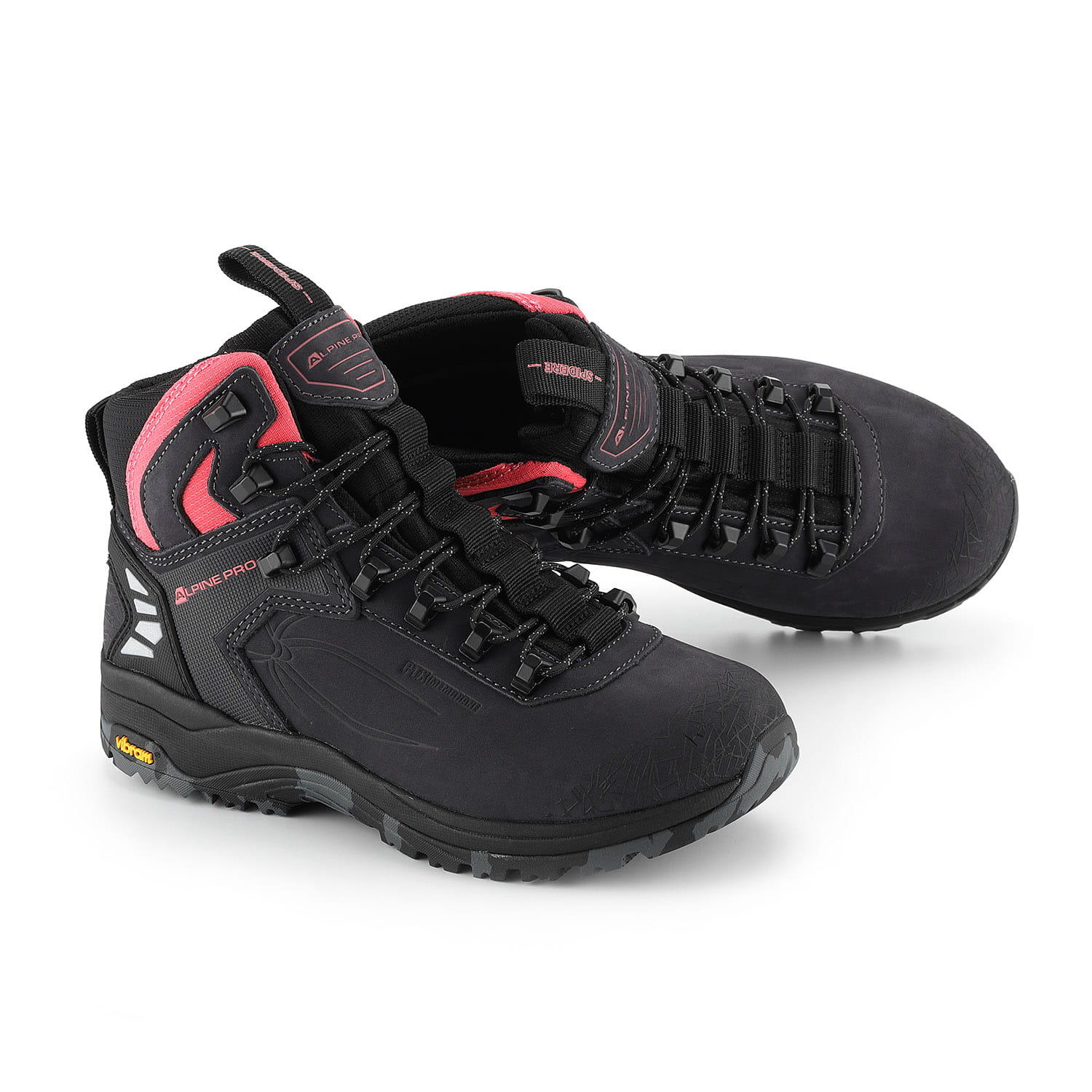ALPINE PRO picture