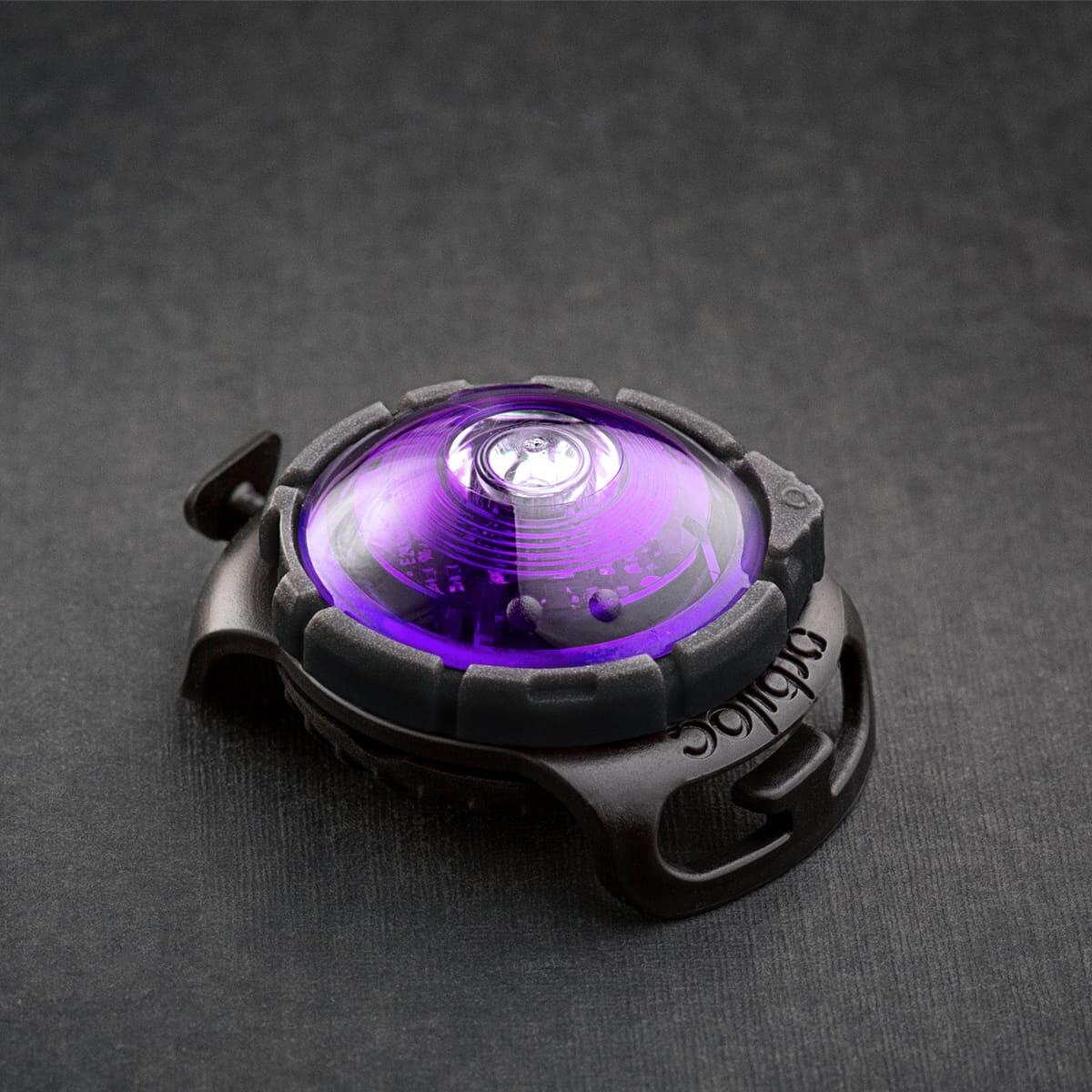 Orbiloc - Lampe Orbiloc Dog Dual Safety Light Étanche Portée 5 Km, Violet - Harnais Pour Chien - Violet - Decathlon