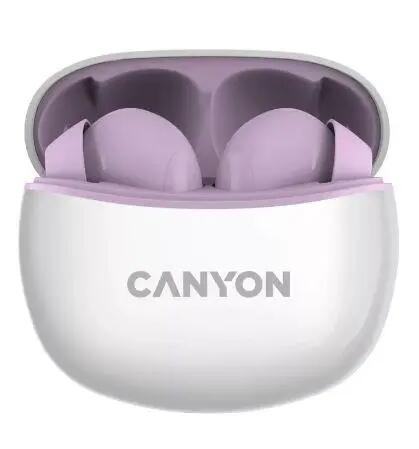 CANYON picture