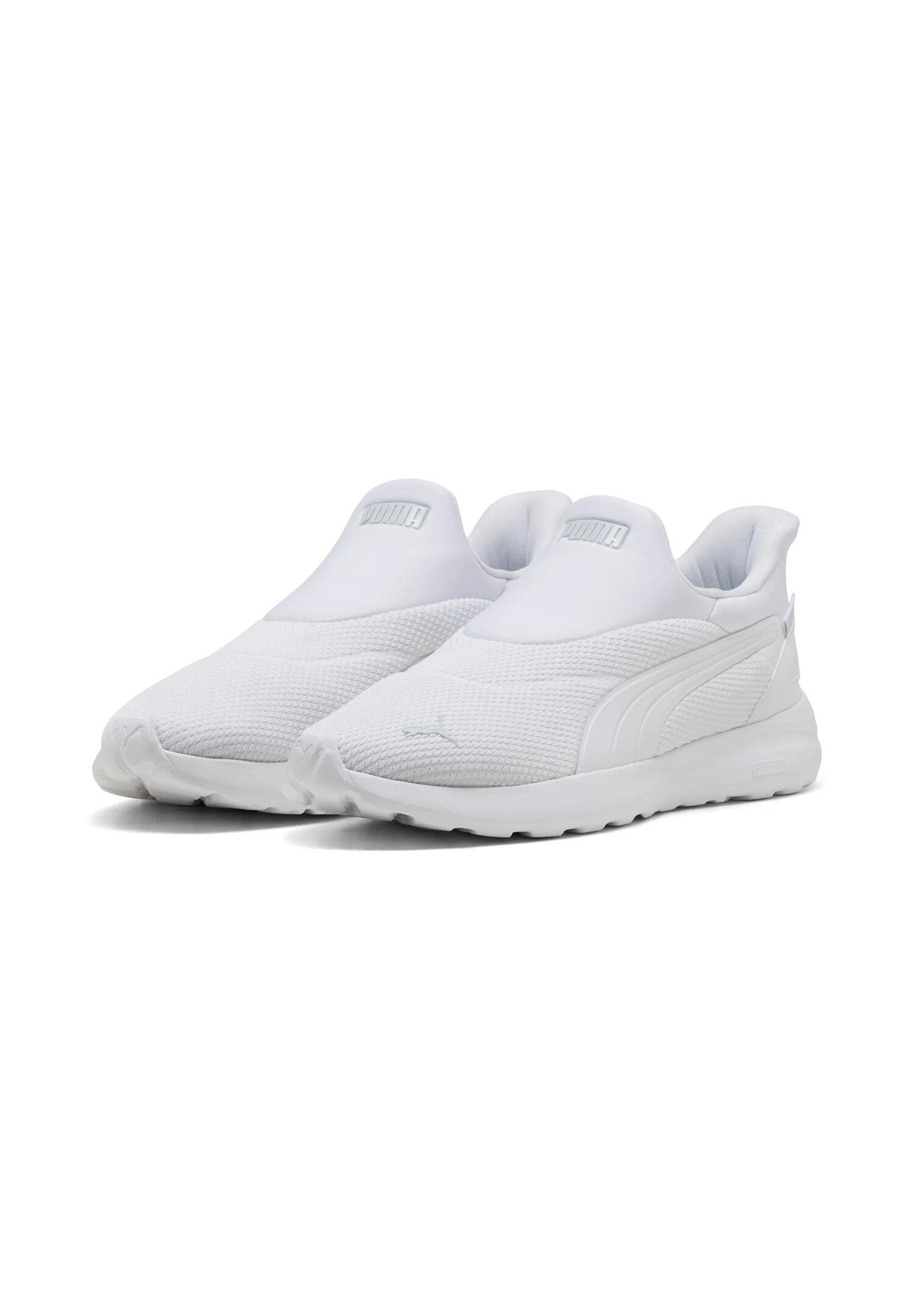 PUMA picture
