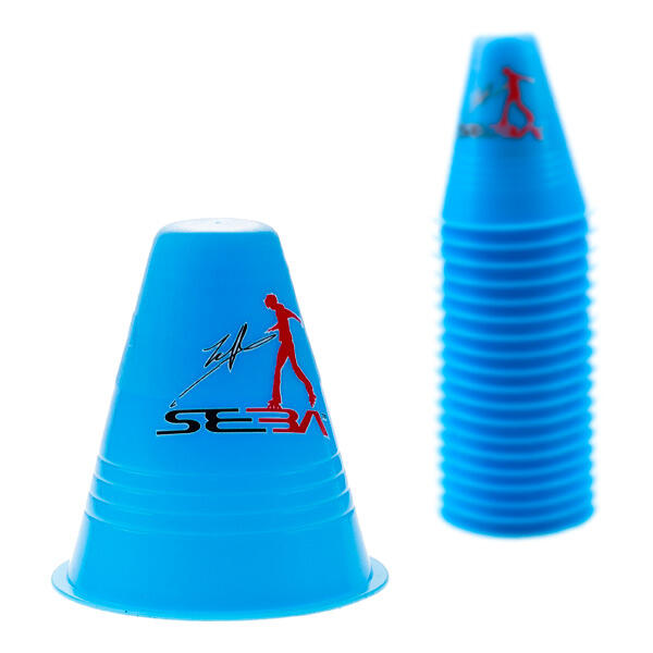 SEBA picture