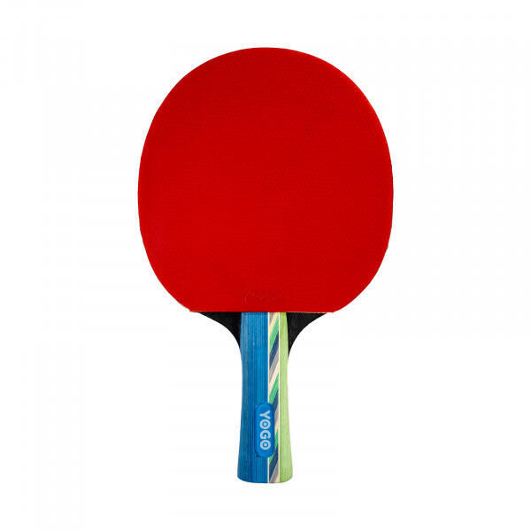 Tafeltennisbatset Match 2/5