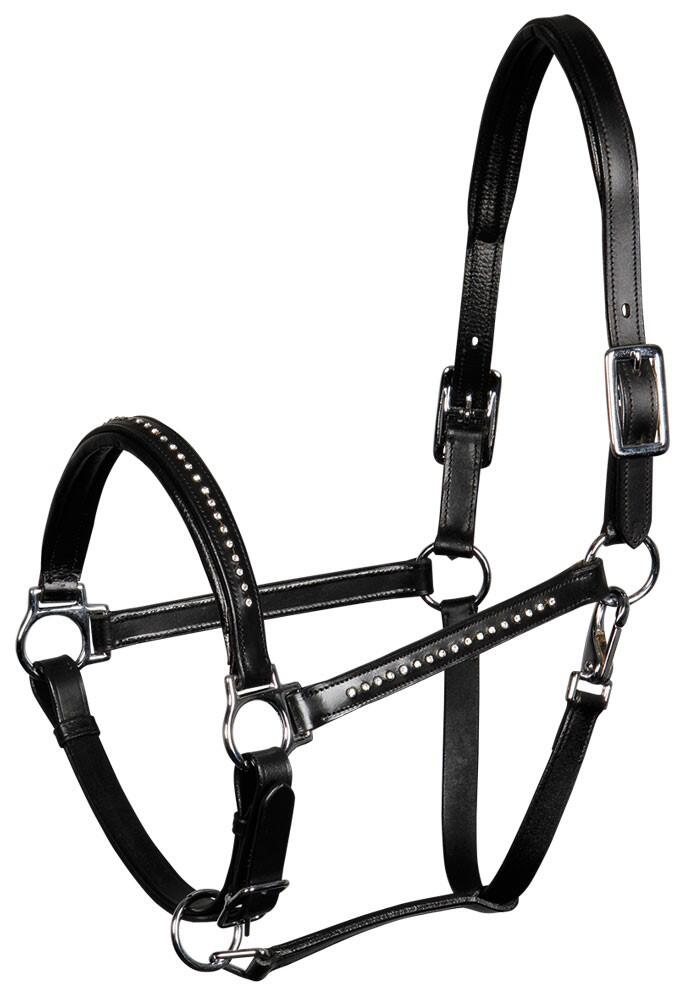 Harrys Horse Lederhalfter mit Glitzer Strass-Steinen 1/4