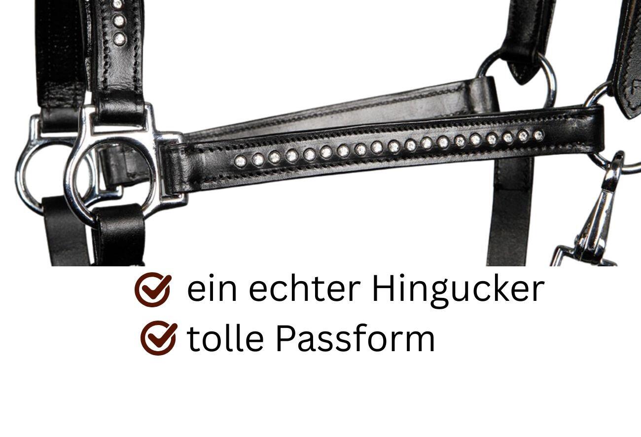 Harrys Horse Lederhalfter mit Glitzer Strass-Steinen 3/4
