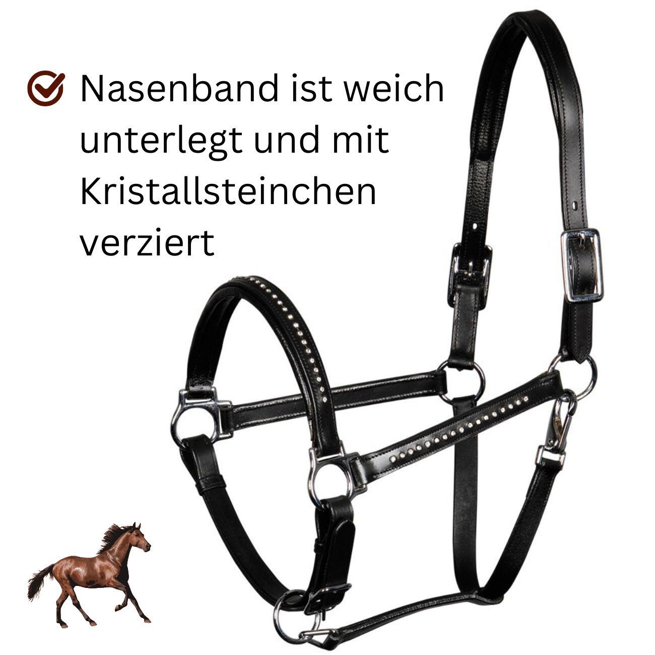 Harrys Horse Lederhalfter mit Glitzer Strass-Steinen 4/4