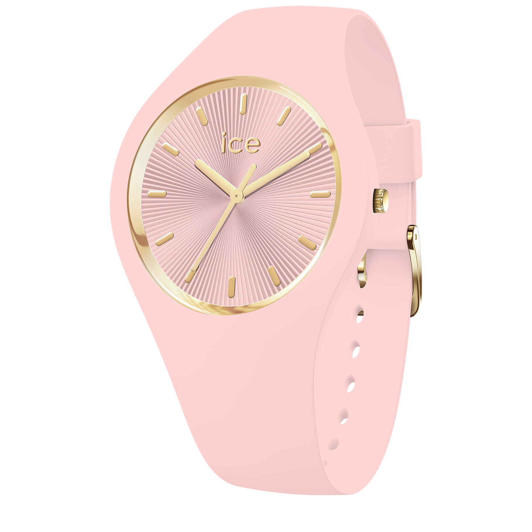 ICE WATCH picture