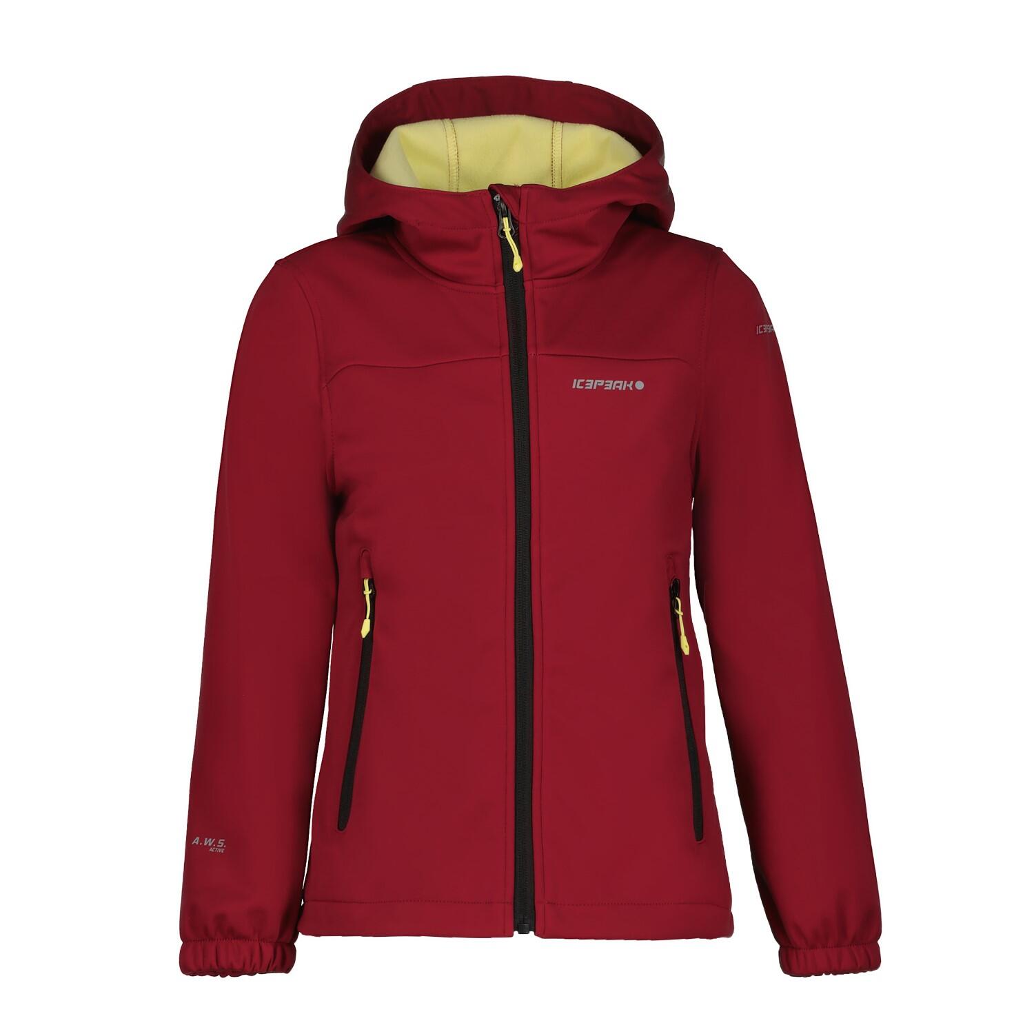 ICEPEAK picture