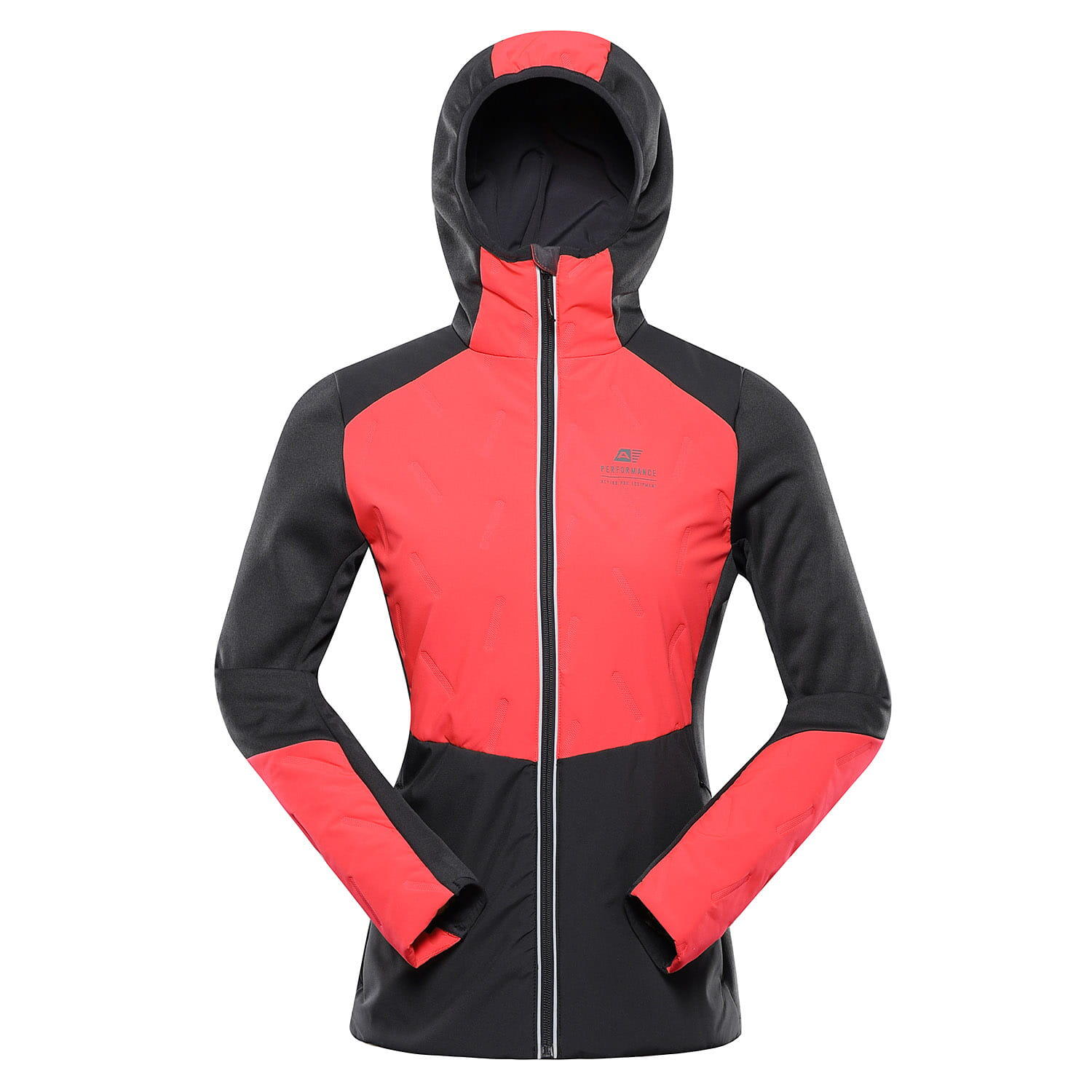 ALPINE PRO picture