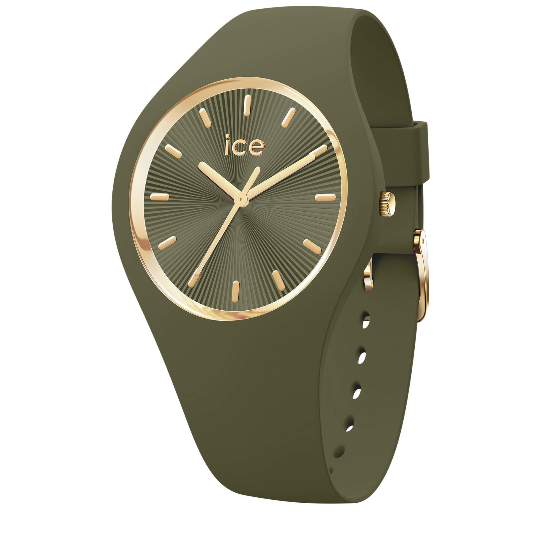ICE WATCH picture