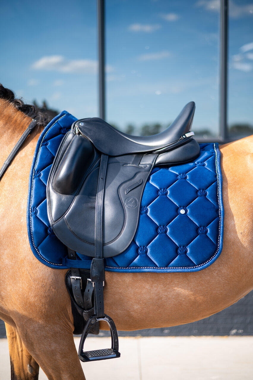 EQUUS BRAND picture