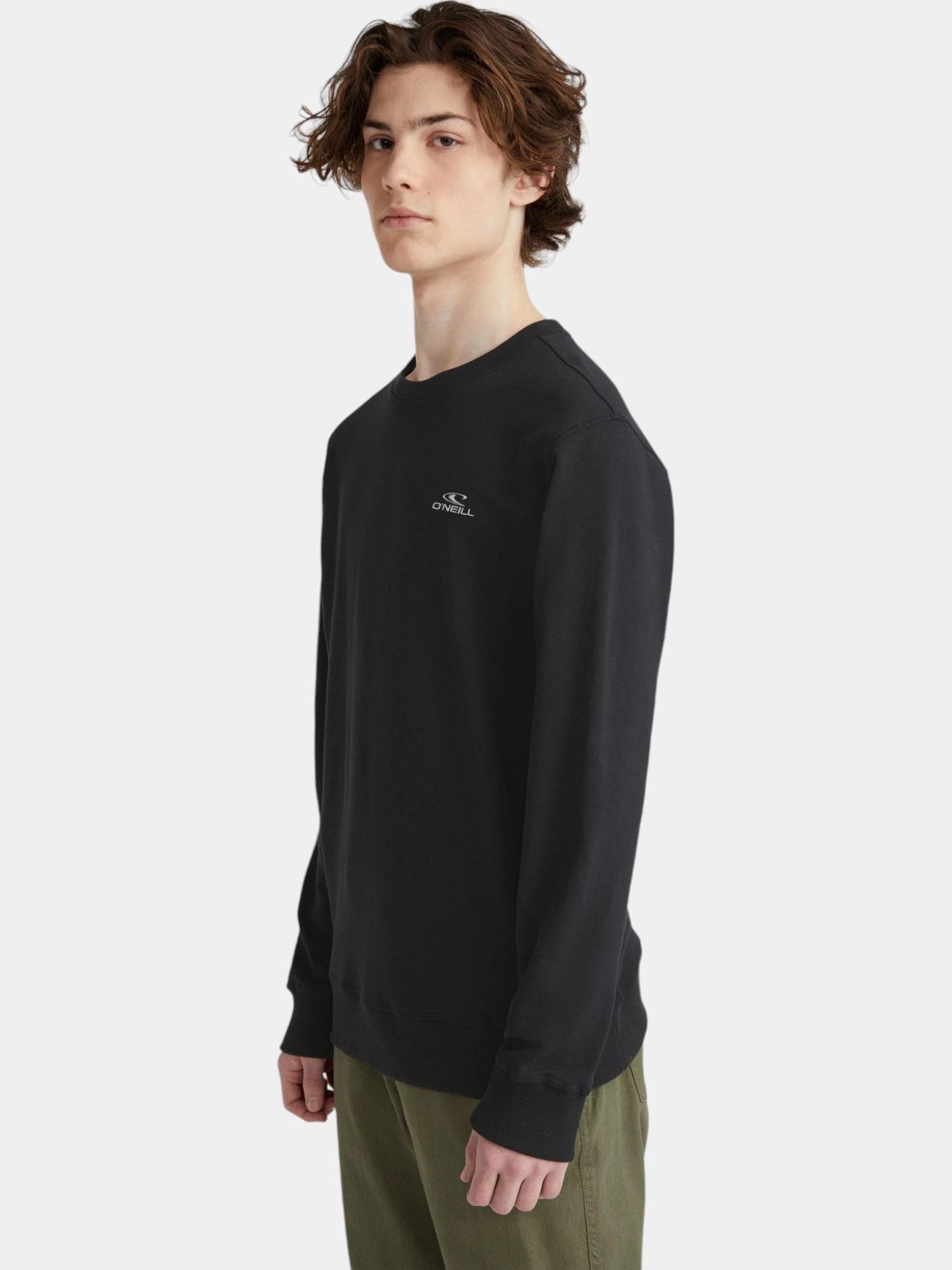Pullover Herren Small Logo Crew 3/7