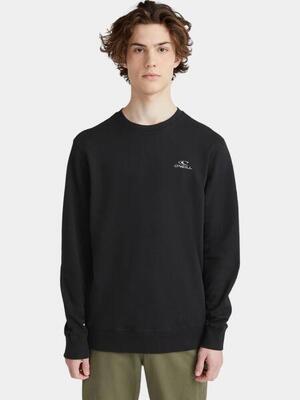Trui men small logo crew