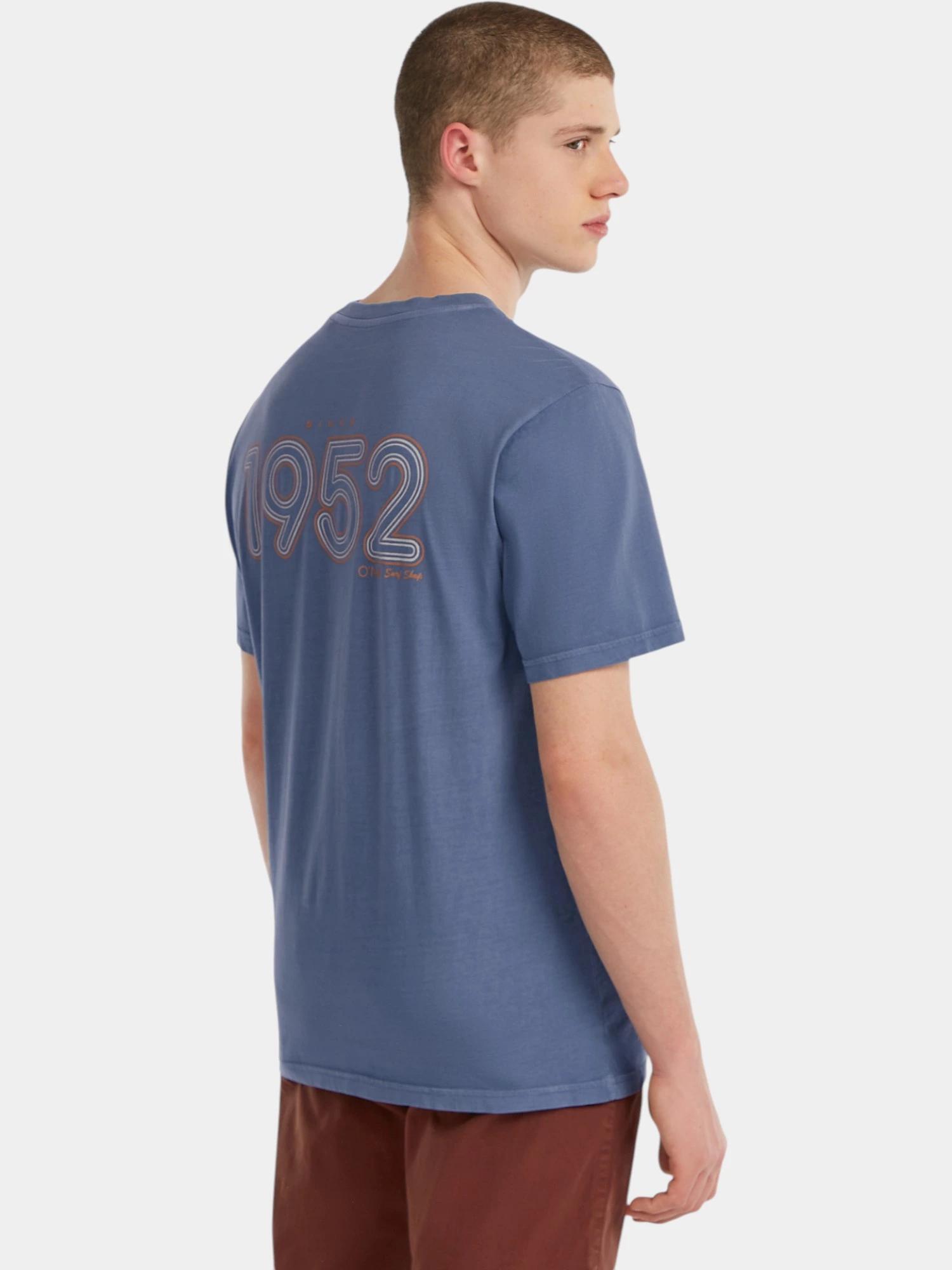 Pánské tričko O'Neill O'riginals Retro Back Print 2/7
