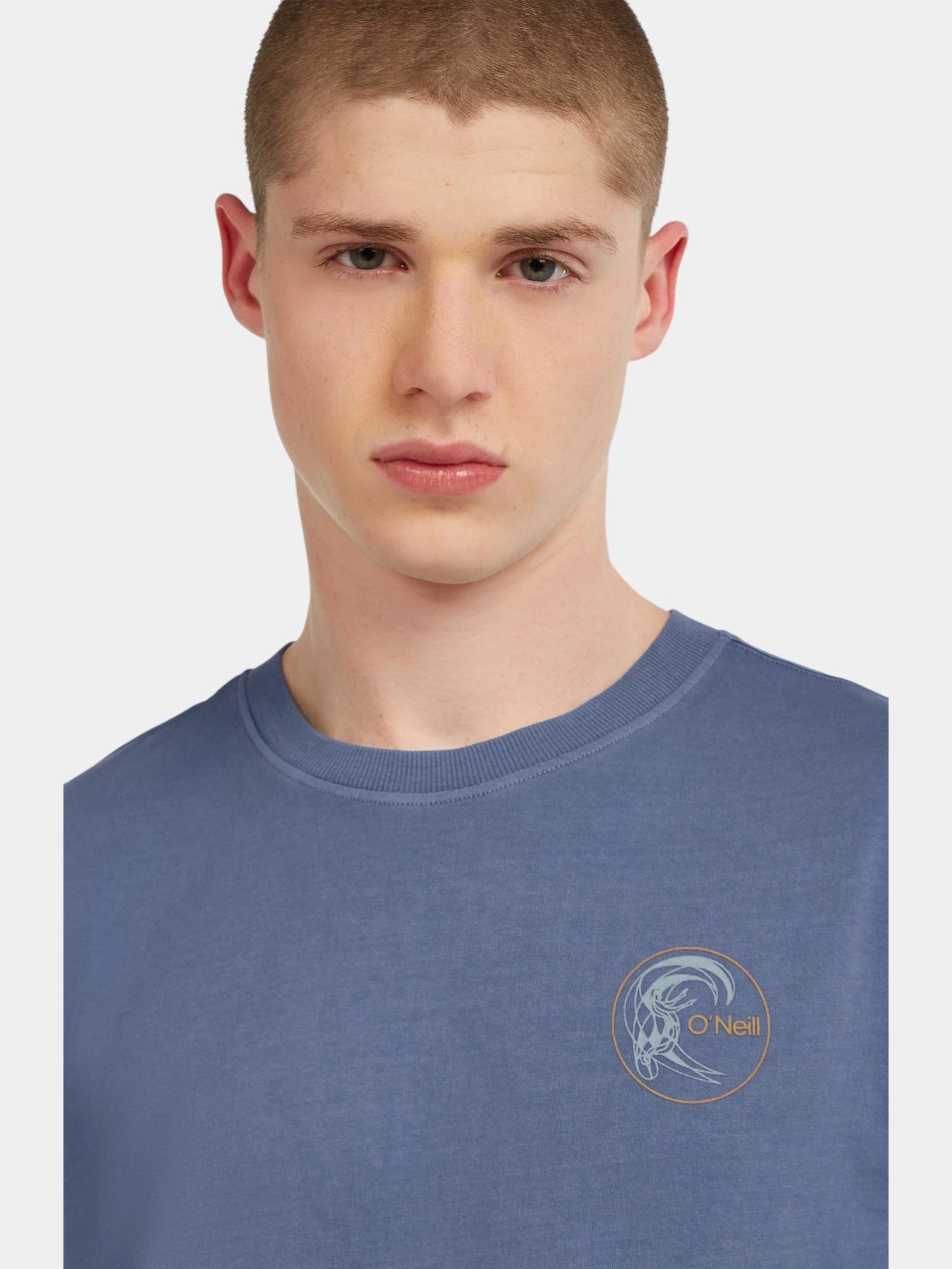 Pánské tričko O'Neill O'riginals Retro Back Print 4/7
